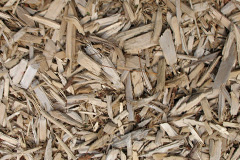 biomass boilers Pode Hole